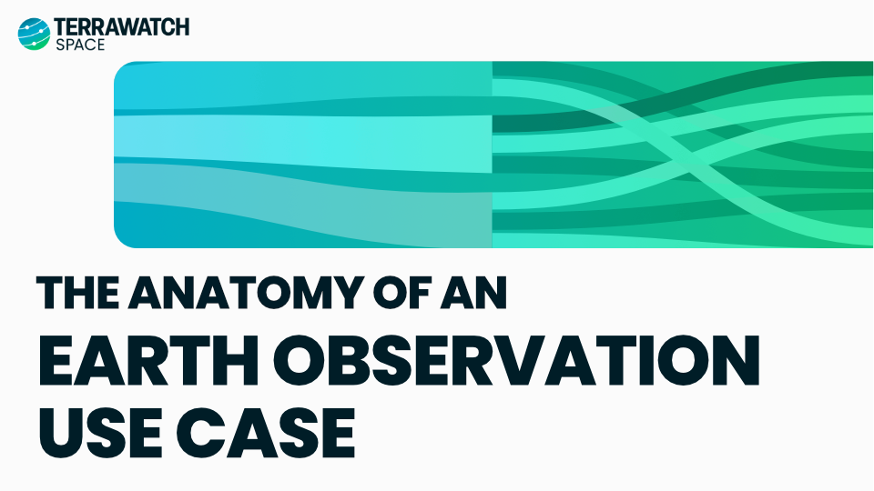 TerraWatch Space Newsletter - The Anatomy of an Earth Observation Use Case