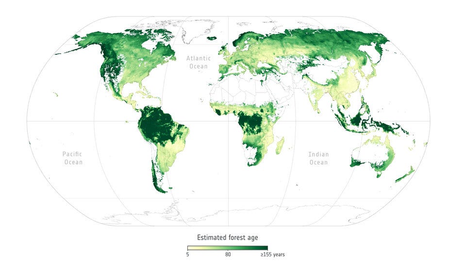 Age of forests