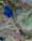 Last Week in Earth Observation: May 26, 2025