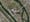 Last Week in Earth Observation: June 23, 2025