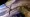 Last Week in Earth Observation: July 28, 2025