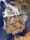 Earth Observation Weekly Briefing - August 25, 2025